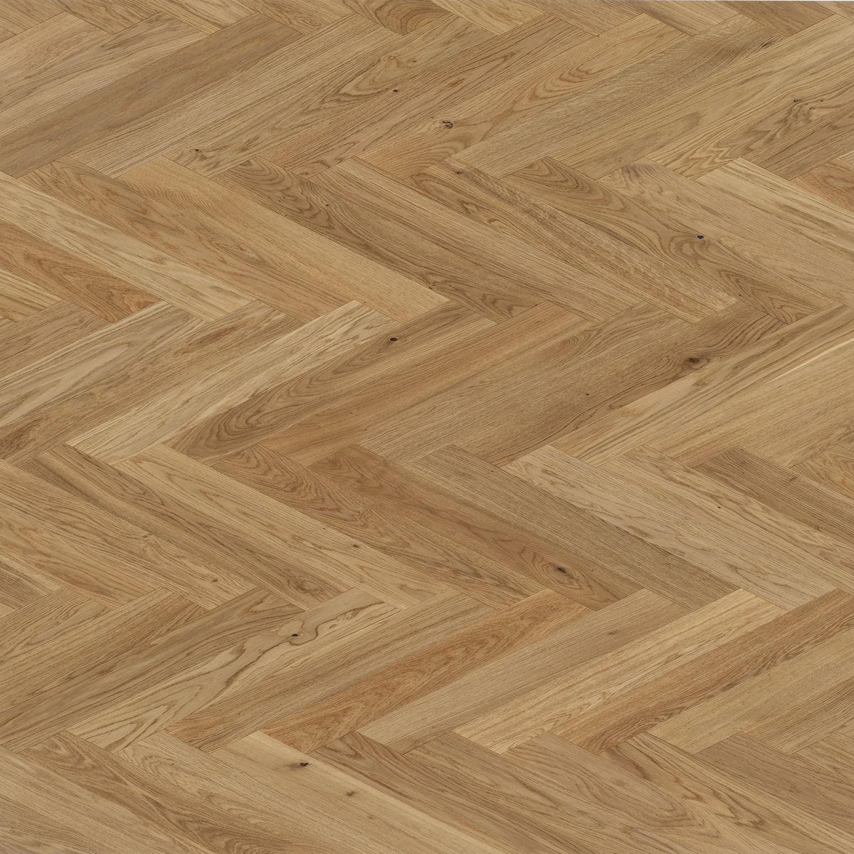 Fischgrätparkett Eiche cream TRENDTIME 3 1739932  per  m² - Creme/Braun, LIFESTYLE, Holz (57/9.5/1.05cm) - Parador