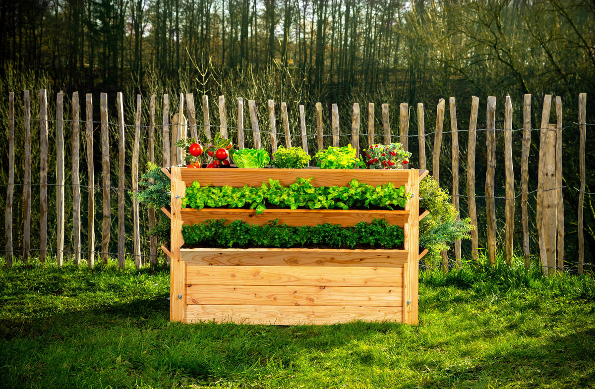 VYVÝŠENÝ ZÁHON   - farba smrekovca, Basics, drevo (124/73/91cm)