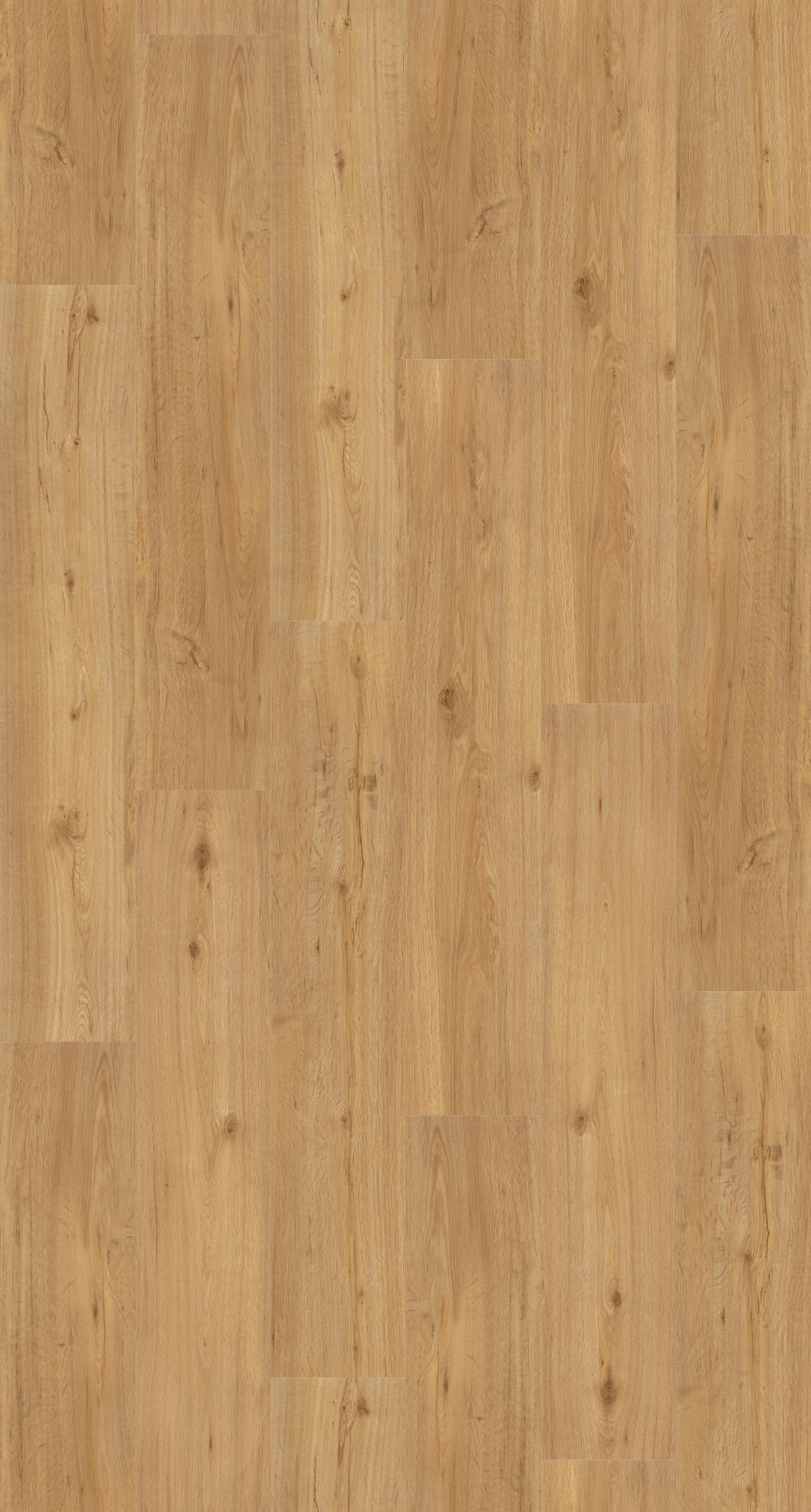 DESIGNBODEN BASIC 30 1649299  per  m² - Eichefarben/Braun, Basics, Holzwerkstoff/Kunststoff (120,7/21,6/0,94cm) - Parador