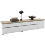 LOWBOARD  in 225/46/41 cm  - Eichefarben/Silberfarben, Design, Holzwerkstoff/Kunststoff (225/46/41cm) - Dieter Knoll