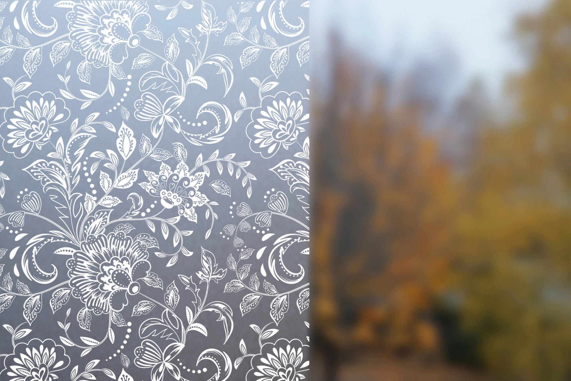 Sichtschutzfolie Ff Vp Land Transparent