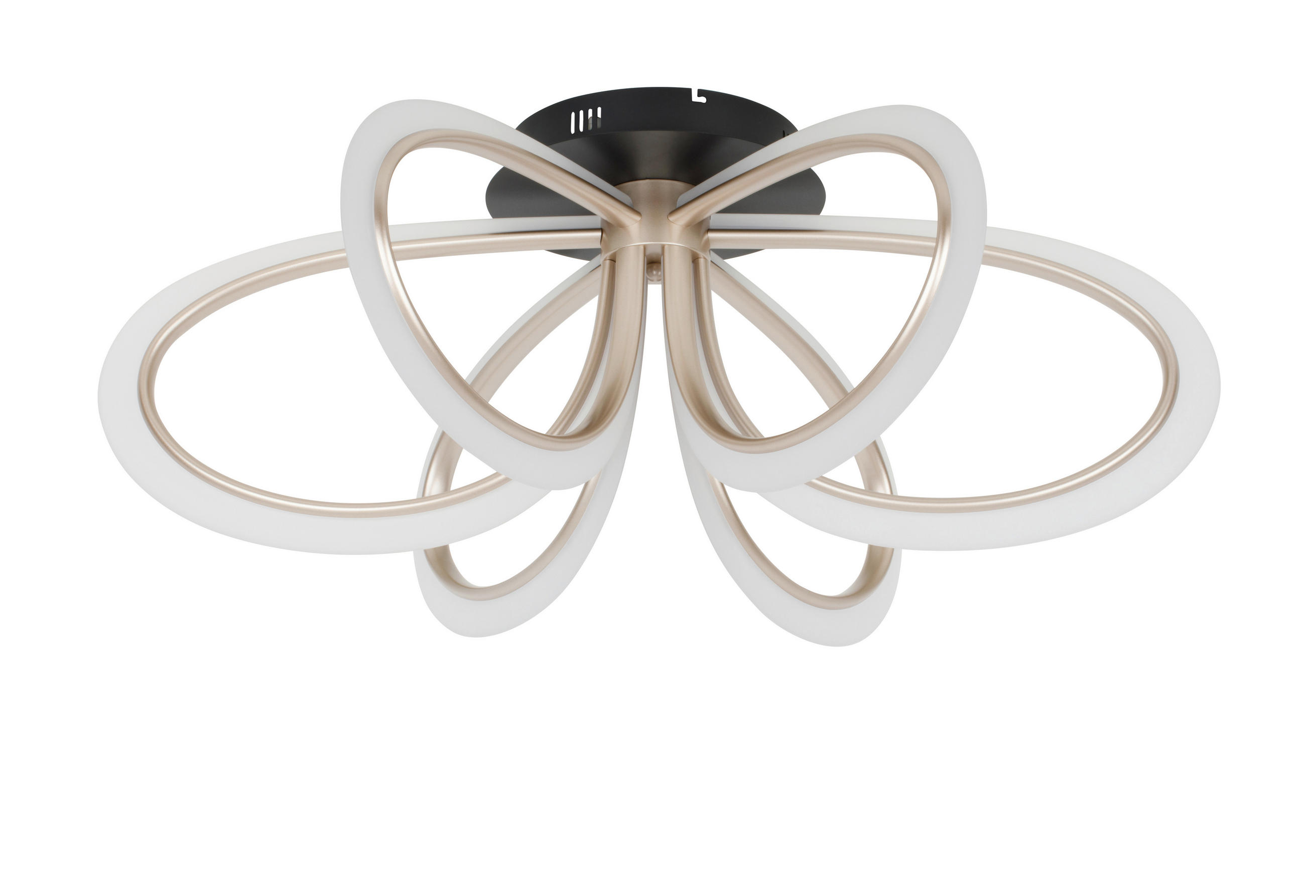 Dieter Knoll Led-Deckenleuchte Gospic Schwarz, Champagner 32 cm