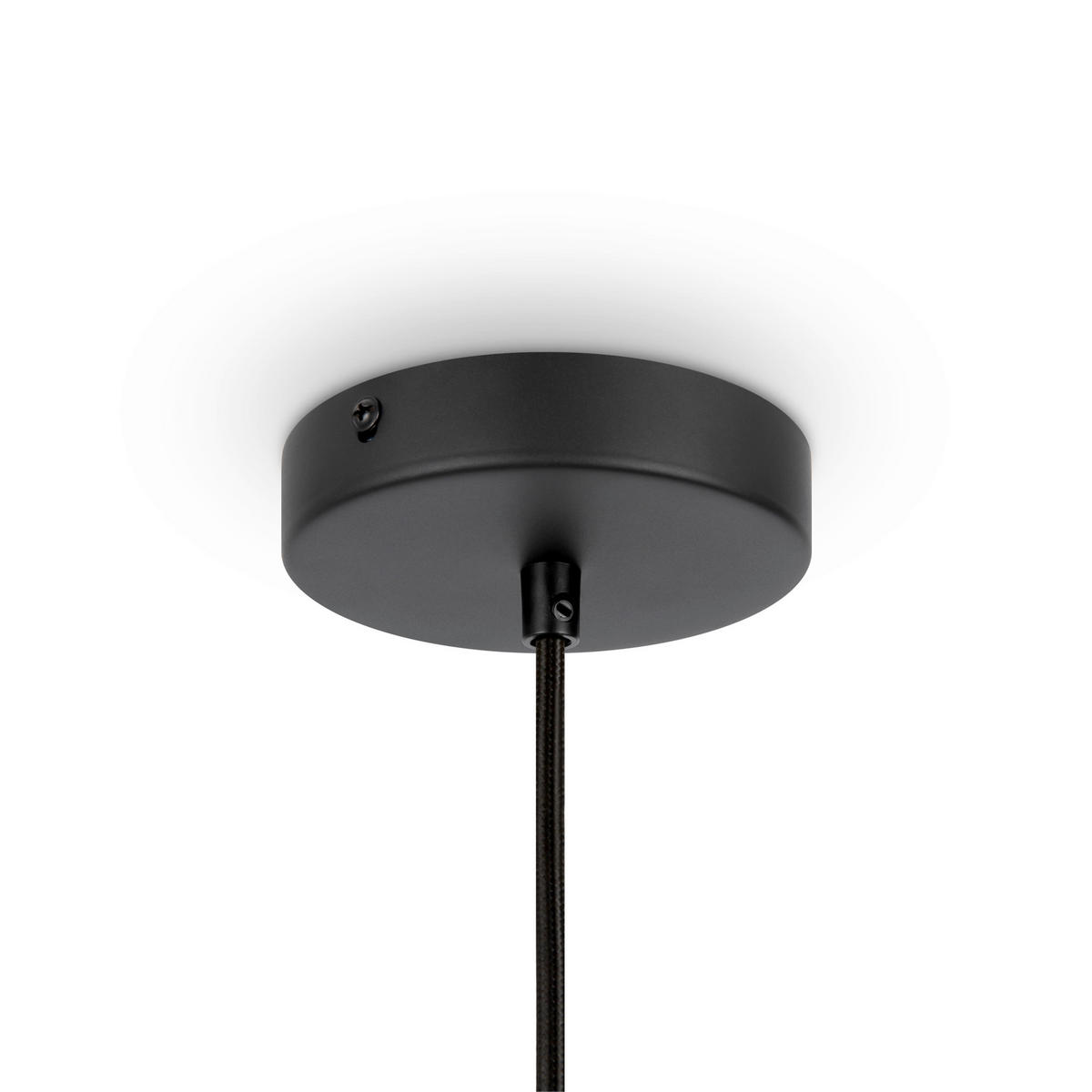 PENDELLEUCHTE Roots 30/342.5 cm  - Schwarz, Design, Metall (30/342.5cm) - MAYTONI