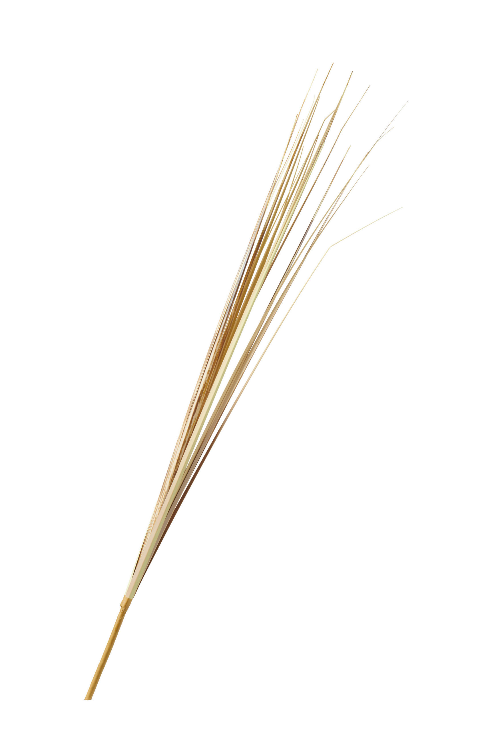 DEKORAČNÍ VĚTVIČKA bezosetka 85 cm - pískové barvy, Basics, plast (85cm)