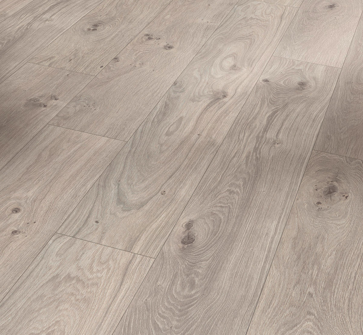 LAMINATBODEN Laminat Basic 400  per  m² - Eichefarben, Basics, Holzwerkstoff (128.5/19.4/0.8cm) - Parador