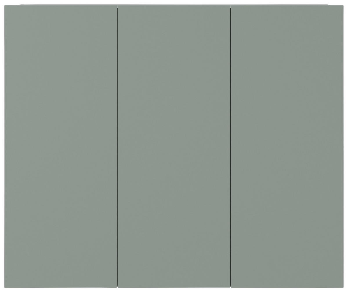 HÄNGESCHUHSCHRANK  in 120/100/34 cm  - vert, Design, matériau de bois (120/100/34cm) - Hom`in