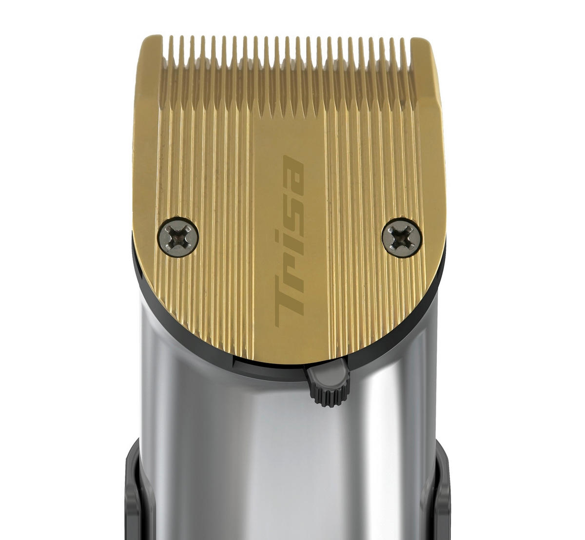 HAARSCHNEIDER  - Silberfarben, Basics, Kunststoff (4,7/5/16,9cm) - Trisa Electronics