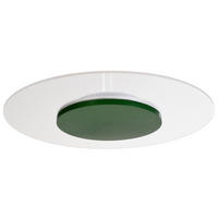 LED-DECKENLEUCHTE Zaniah 37/37/4,5 cm   - Grün, KONVENTIONELL, Kunststoff (37/37/4,5cm)