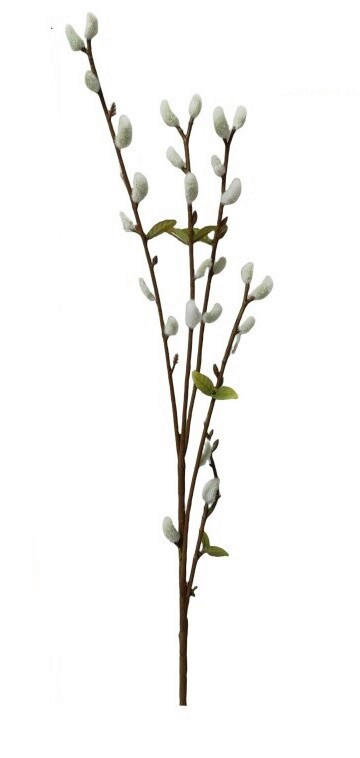 PALMKÄTZCHEN - Grau, Lifestyle, Kunststoff (70cm)