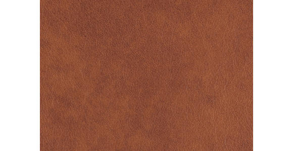 ECKSOFA in Echtleder Cognac 233/309 cm - Edelstahlfarben/Cognac, Design, Leder/Metall (233/309cm) - Dieter Knoll