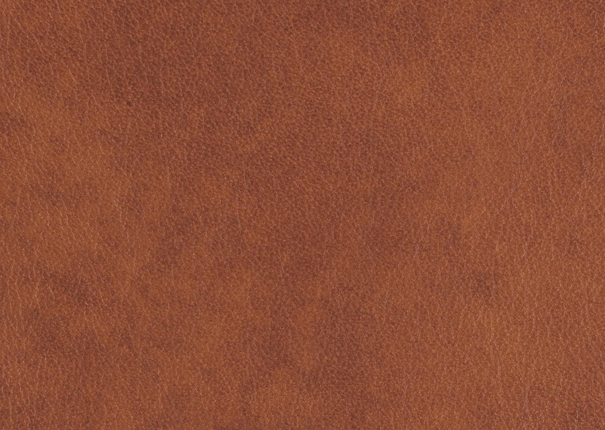 ECKSOFA in Echtleder Cognac  233/309 cm  - Edelstahlfarben/Cognac, Design, Leder/Metall (233/309cm) - Dieter Knoll