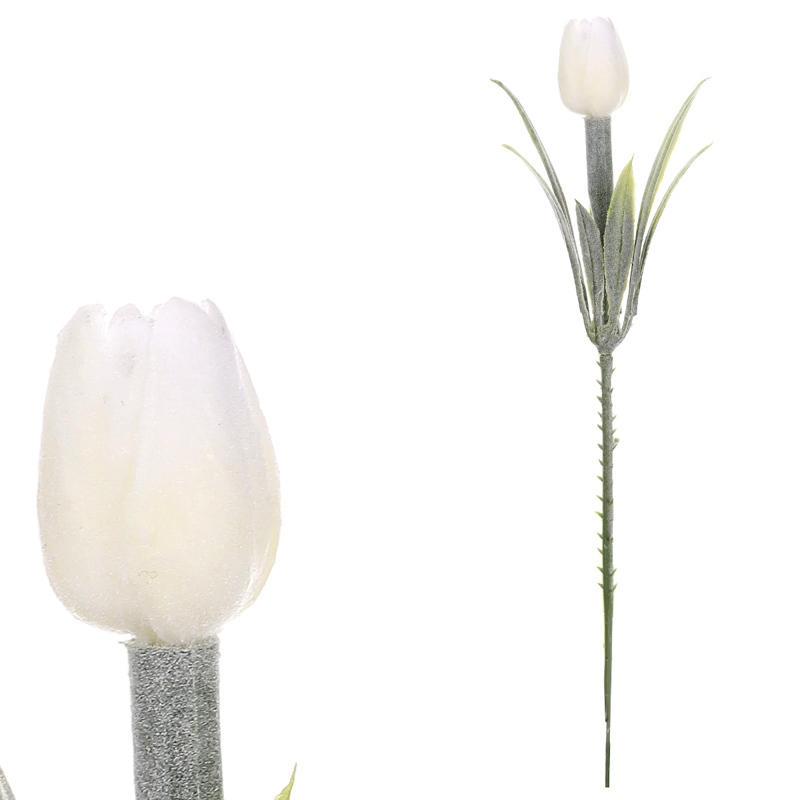 XXXL TULIPÁN 19 cm