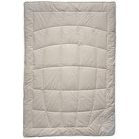 CELOROČNÁ PRIKRÝVKA, 140/220 cm,  - prírodná farba, Basics, textil (140/220cm) - Bio:Vio