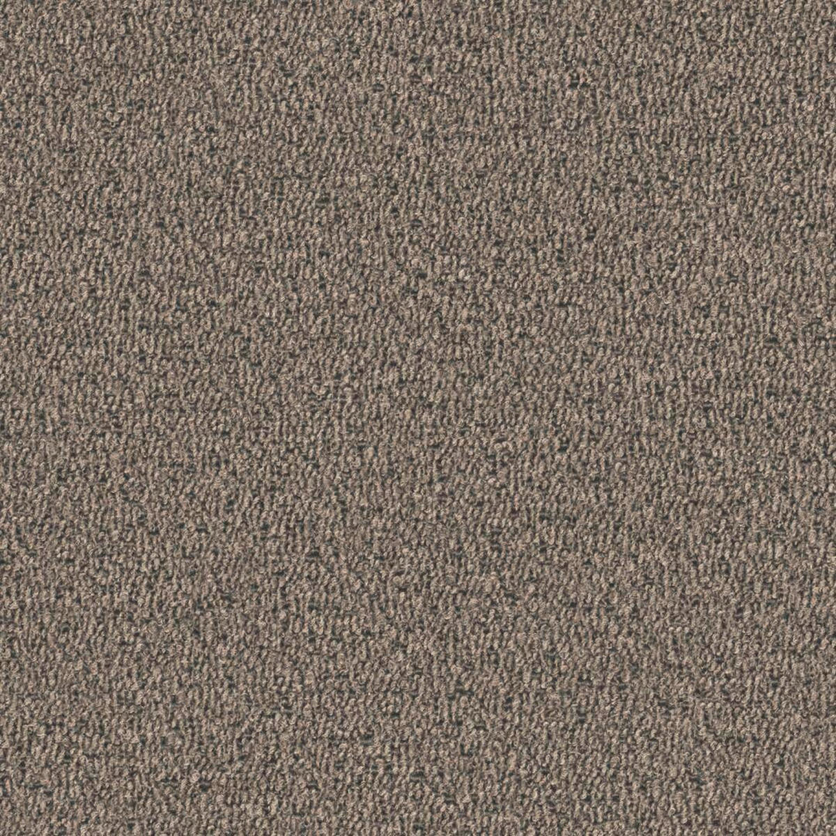 ARMLEHNSTUHL   Bouclé  Taupe  - Taupe, KONVENTIONELL, Holz/Textil (55/88/60cm) - MID.YOU