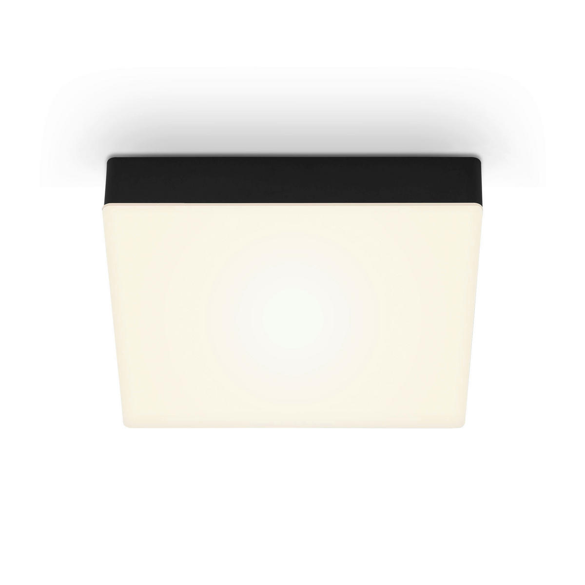 STROPNÍ LED SVÍTIDLO, 21,2/21,2/3,6 cm - černá, Basics, plast (21,2/21,2/3,6cm)