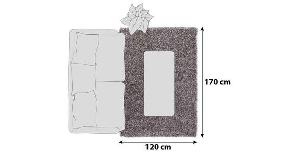 HOCHFLORTEPPICH 120/170 cm Fashoin Shaggy Braun, Grau - Braun/Grau, Basics, Textil (120/170cm) - Novel