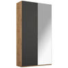 DREHTÜRENSCHRANK in Graphitfarben, Eichefarben  - Eichefarben/Alufarben, Trend, Glas/Holzwerkstoff (101/223/60cm) - Stylife