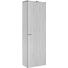 MEHRZWECKSCHRANK in Eichefarben - Eichefarben/Alufarben, Design, Holzwerkstoff/Kunststoff (60/192/33,6cm) - Carryhome MEHRZWECKSCHRANK in Eichefarben - Eichefarben/Alufarben, Design, Holzwerkstoff/Kunststoff (60/192/33,6cm) - Carryhome