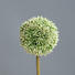 Serie Allium - creme/brun, Basics, textil/plast (67cm)