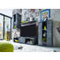 WOHNWAND Schieferfarben - Schieferfarben/Silberfarben, Design, Glas/Holzwerkstoff (217/171/44cm) - Carryhome