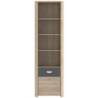 REGAL Anthrazit, Sonoma Eiche  - Eichefarben/Anthrazit, Basics, Holzwerkstoff (59/194/41cm) - Carryhome