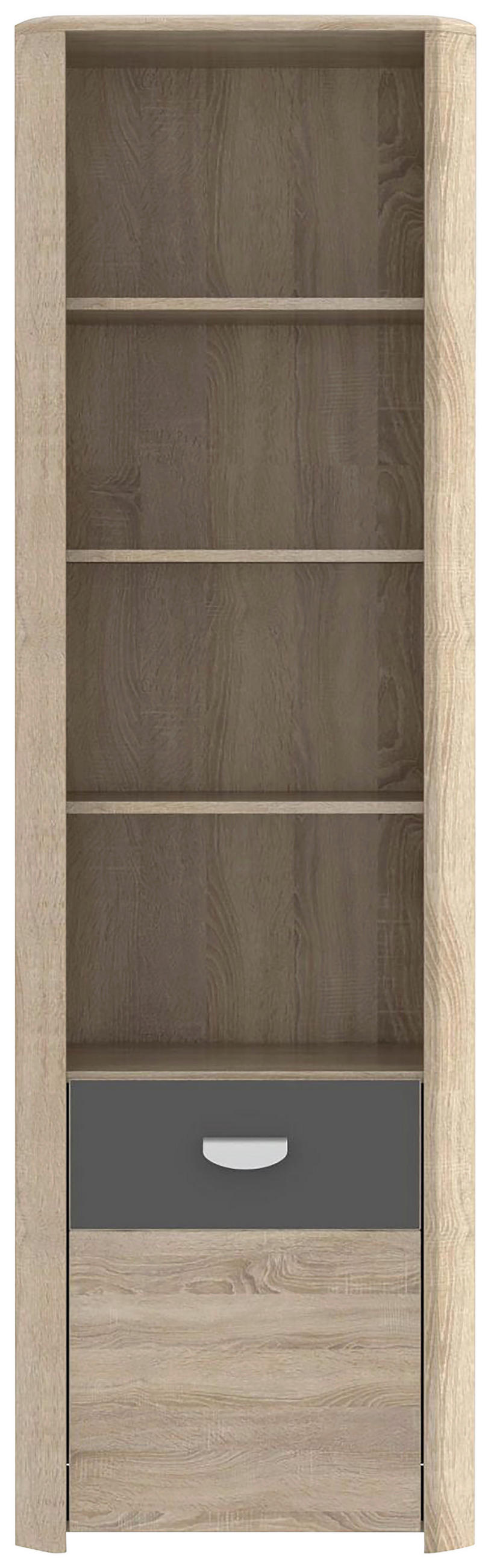 REGAL Anthrazit, Sonoma Eiche  - Eichefarben/Anthrazit, Basics, Holzwerkstoff (59/194/41cm) - Carryhome