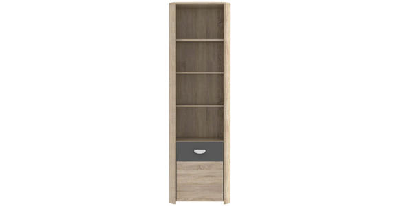 REGAL Anthrazit, Sonoma Eiche  - Eichefarben/Anthrazit, Basics, Holzwerkstoff (59/194/41cm) - Carryhome