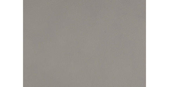 RELAXSESSEL in Leder Grau  - Edelstahlfarben/Grau, Design, Leder/Metall (76/119/86cm) - Dieter Knoll