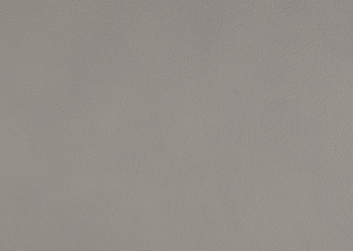 ECKSOFA in Echtleder Hellgrau  - Hellgrau/Schwarz, Design, Leder/Metall (334/176cm) - Dieter Knoll
