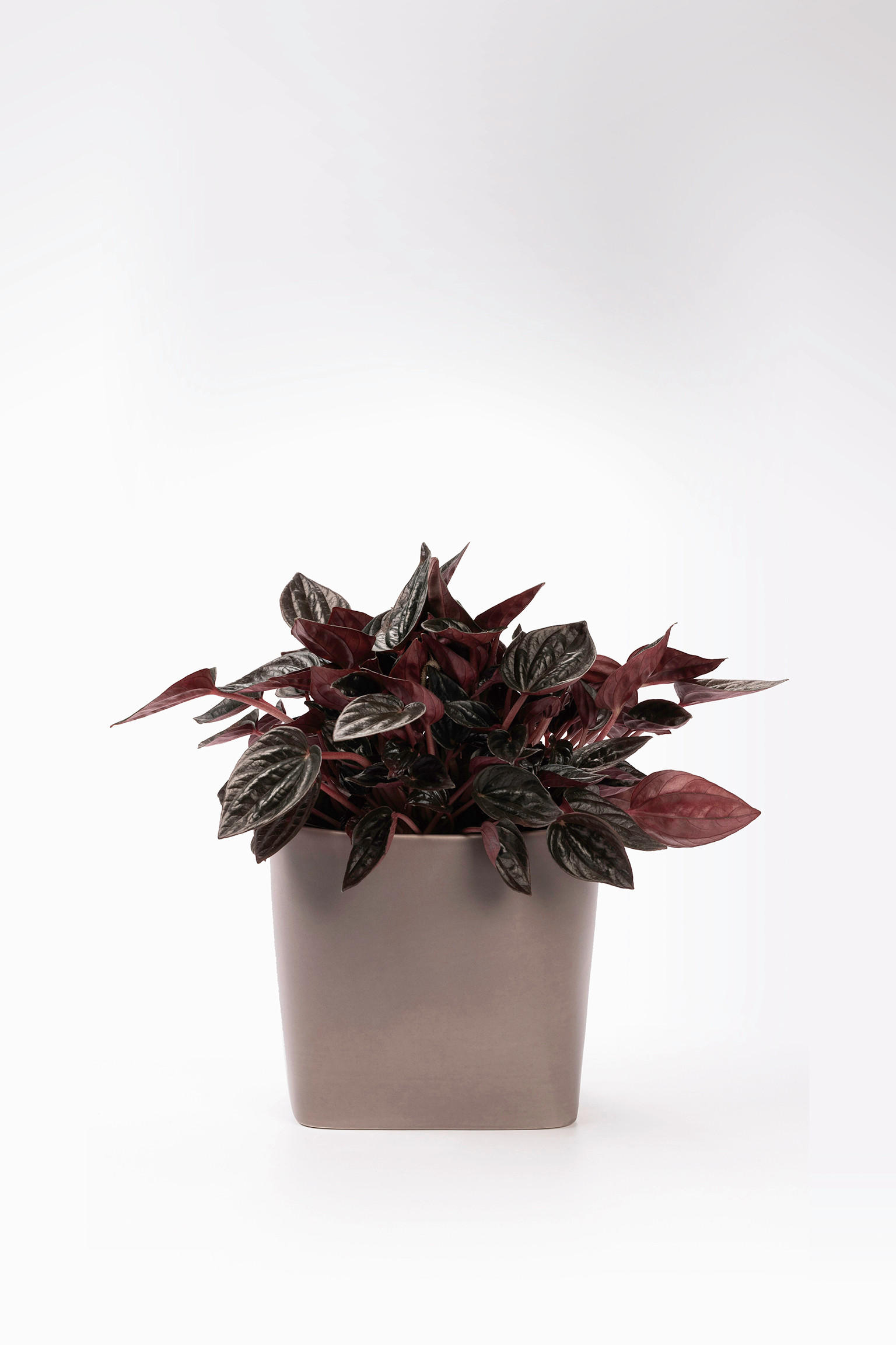 Thumbnail - Markslöjd Übertopf, Dunkelgrau, Keramik, quadratisch, 14x14x16 cm, Dekoration, Blumen & Zubehör, Übertöpfe