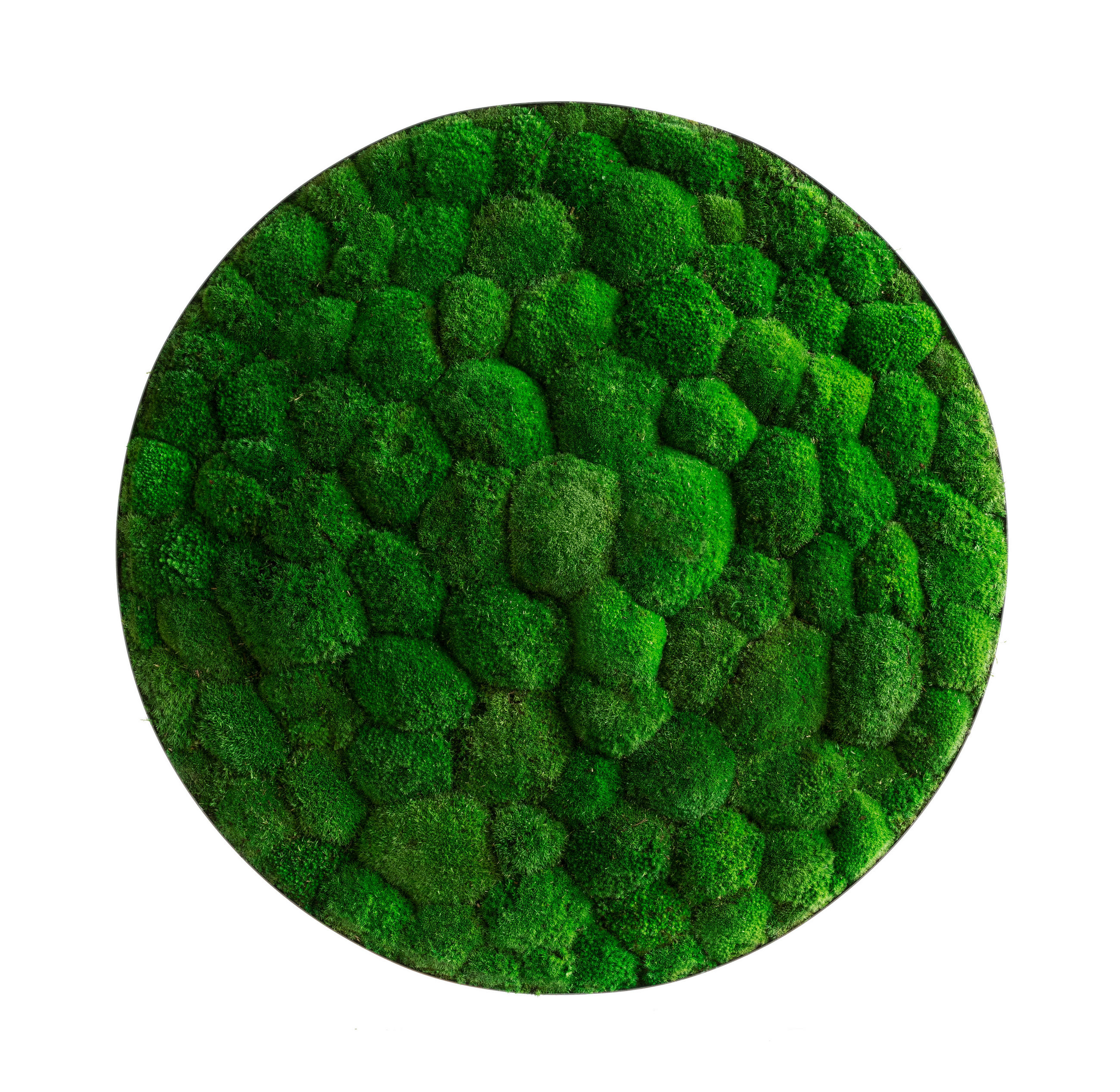 MOOSBILD Stylegreen  - Grün, Basics, Naturmaterialien/Metall (80/15cm)