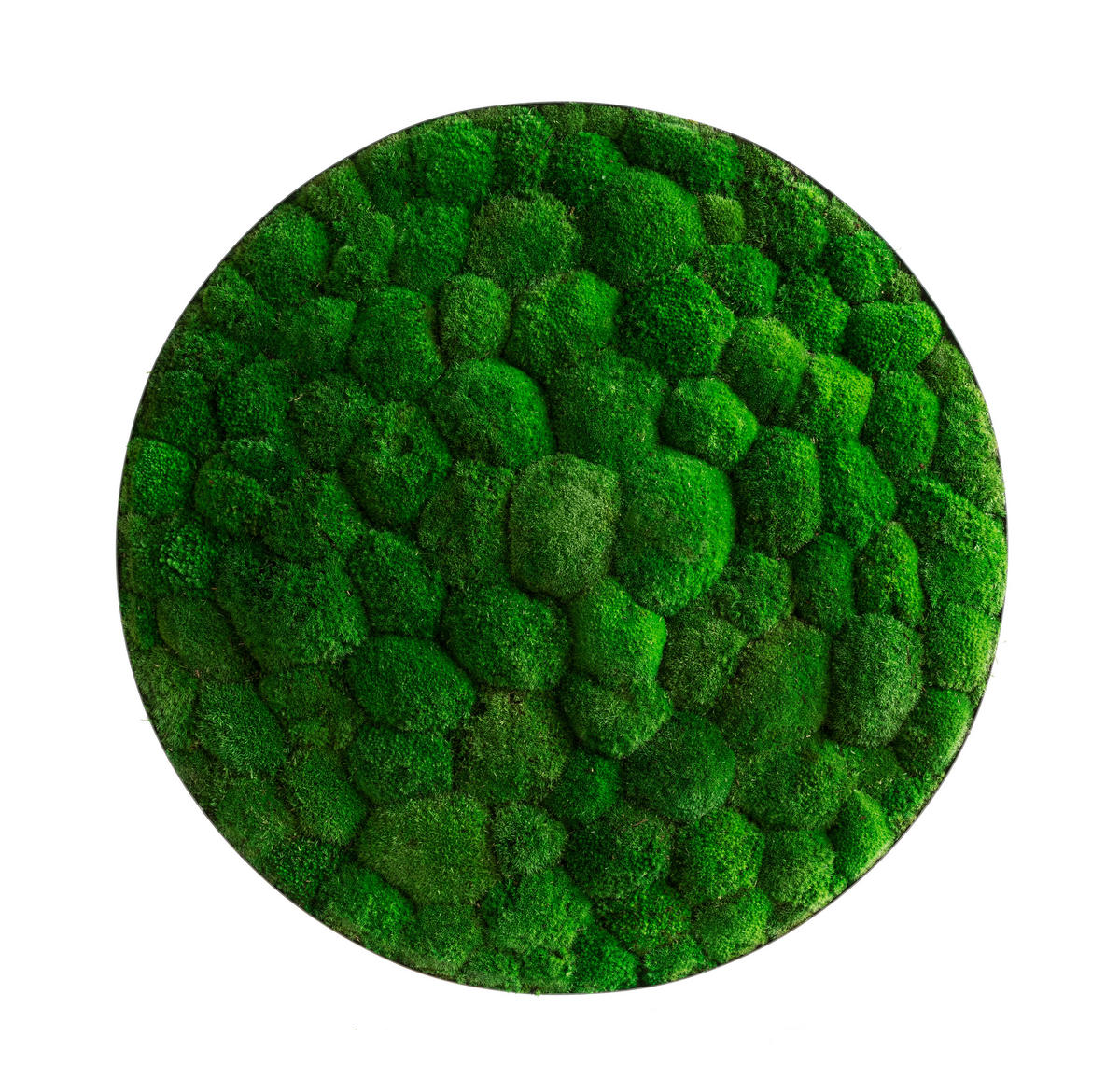 MOOSBILD Stylegreen  - Grün, Basics, Naturmaterialien/Metall (80/15cm)