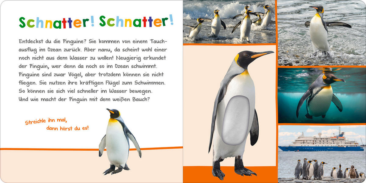 SOUND- UND FÜHLBUCH - Basics (19,7/19,7/1,8cm) - Carlsen