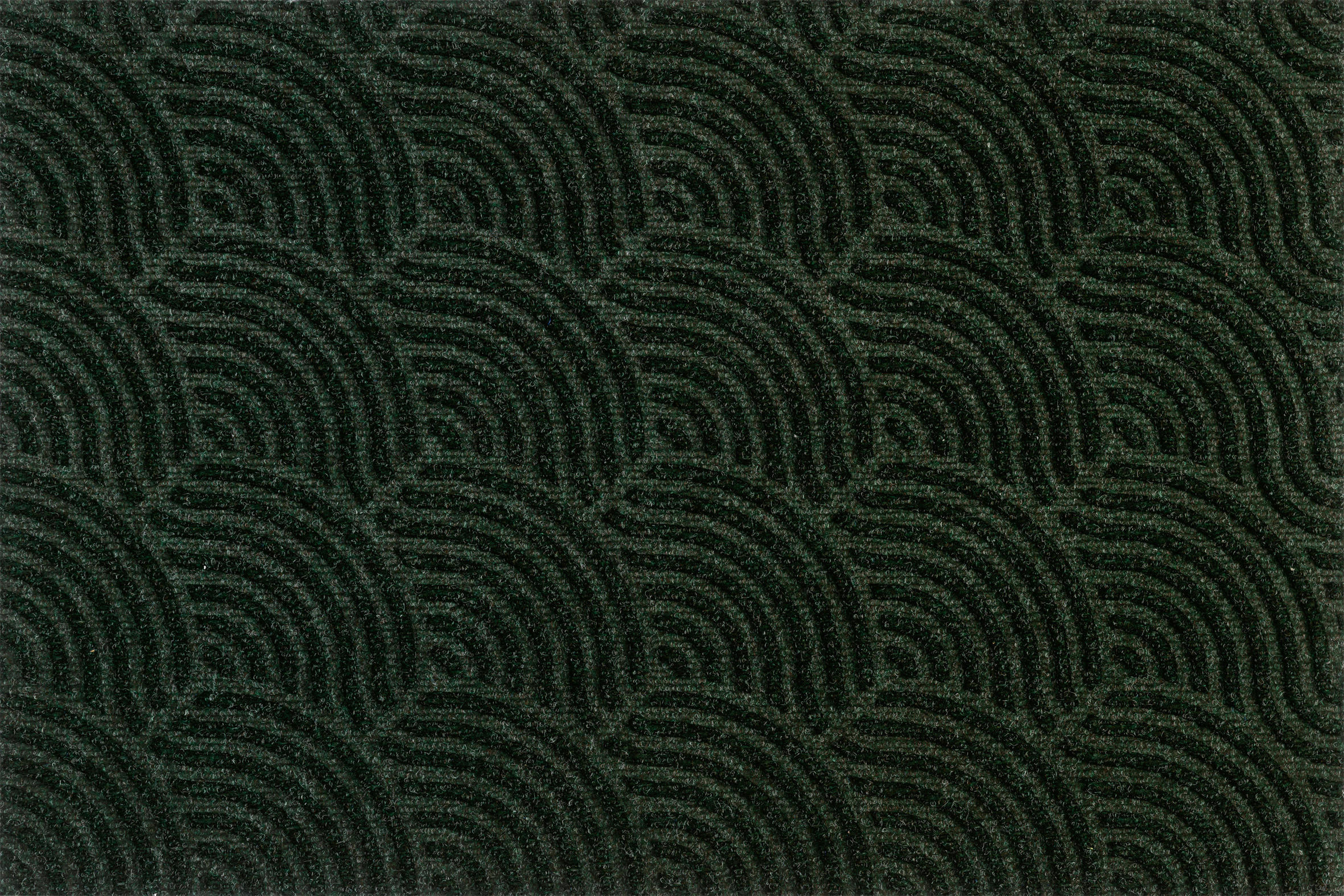 FUßMATTE  60/90 cm  Grün  - Grün, KONVENTIONELL, Kunststoff/Textil (60/90cm) - wash+dry