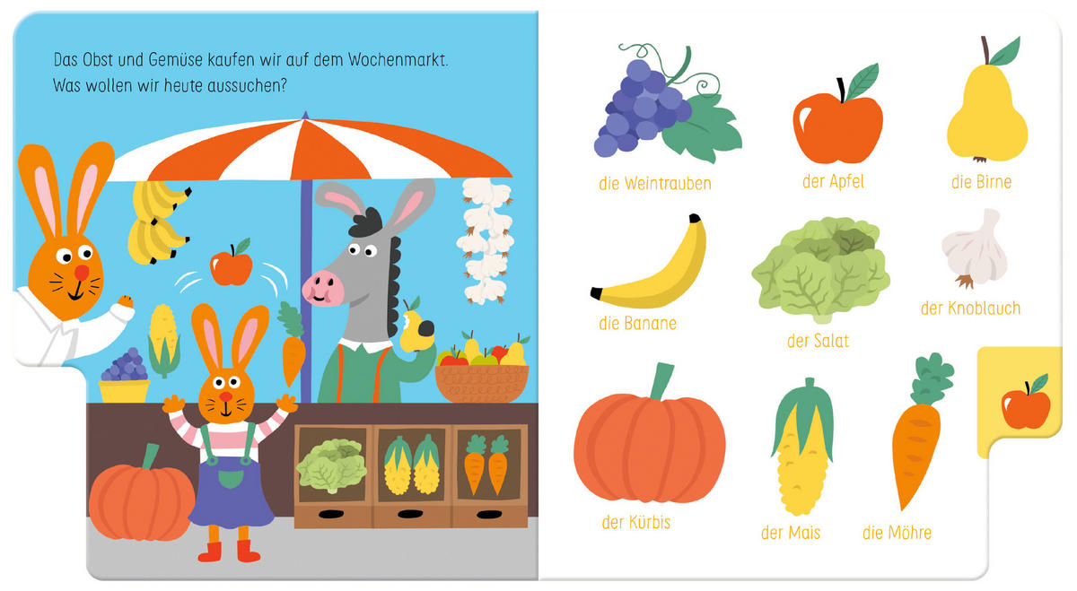 BUCH - Multicolor, Basics, Papier (14/14/0,5cm) - Carlsen