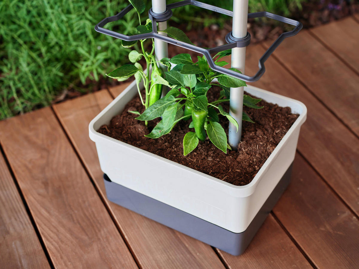 PFLANZENTOPF  CHARLY CHILI  - Hellgrau/Grau, Basics, Kunststoff (34,5/69/27,5cm) - Gusta Garden
