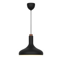 HÄNGELEUCHTE 35/30 cm  - Schwarz, Design, Metall (35/30cm) - Nordlux