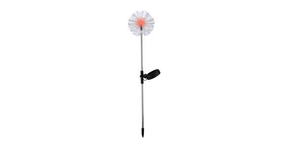 SOLARLEUCHTE - Edelstahlfarben, Design, Kunststoff/Metall (12/70cm) - Boxxx