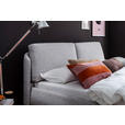 POLSTERBETT 180/200 cm  in Hellgrau  - Hellgrau/Schwarz, Design, Textil/Metall (180/200cm) - Esposa
