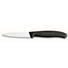 GEMÜSEMESSER - Silberfarben/Schwarz, Basics, Kunststoff (23/9/4cm) - Victorinox GEMÜSEMESSER - Silberfarben/Schwarz, Basics, Kunststoff (23/9/4cm) - Victorinox