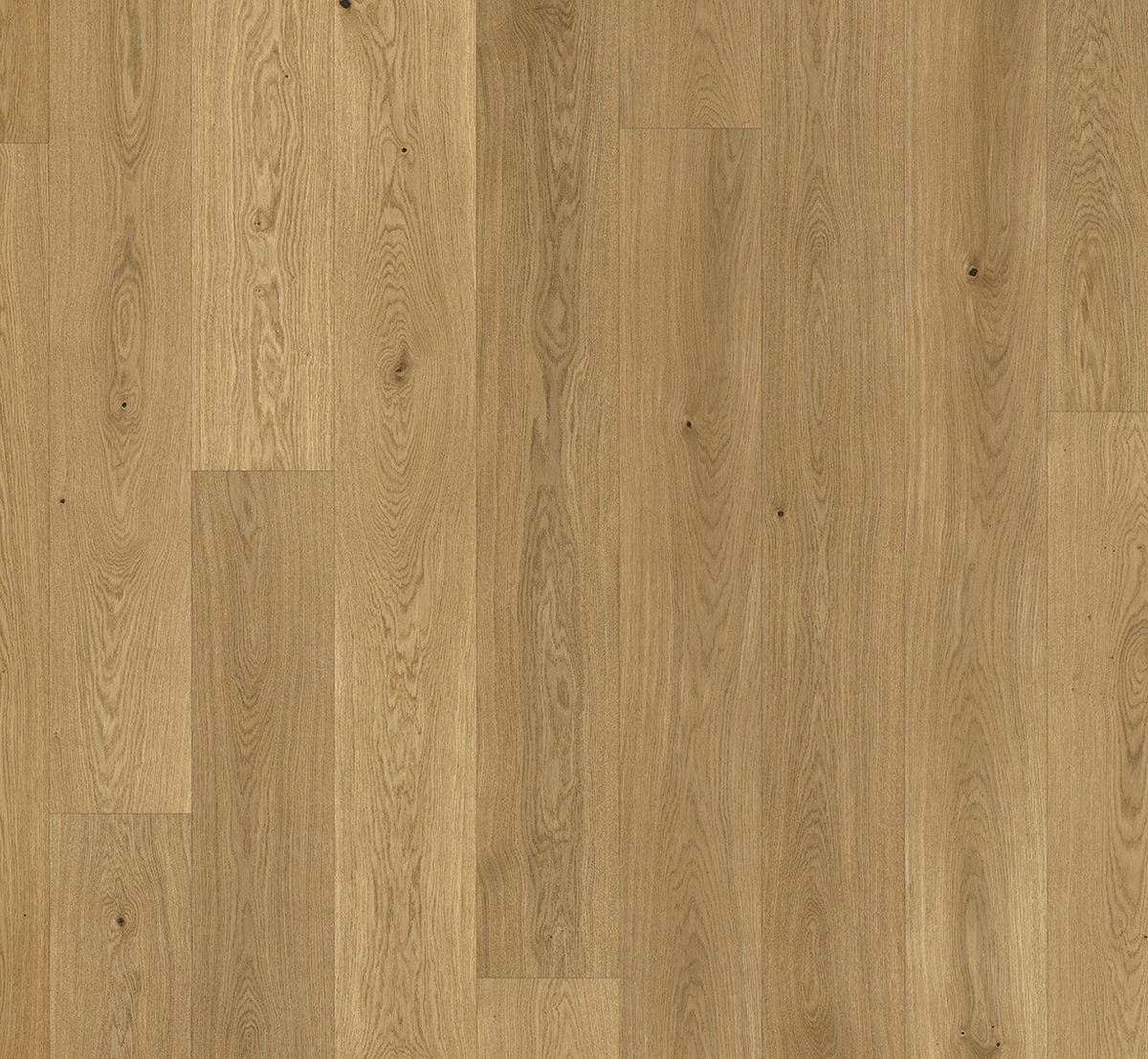 PARKETTBODEN Parkett Basic 11-5 Classic  per  m² - Eichefarben, Basics, Holz (220/18.5/1.15cm) - Parador