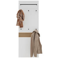 GARDEROBENPANEEL  in 60/170/10 cm  - Eichefarben/Anthrazit, Design, Holzwerkstoff/Metall (60/170/10cm) - Dieter Knoll