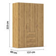 DREHTÜRENSCHRANK in Eichefarben - Eichefarben/Silberfarben, Design, Holzwerkstoff/Kunststoff (151/223/60cm) - Novel