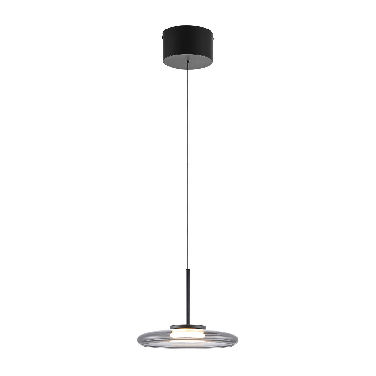 LED-HÄNGELEUCHTE Felis   - Schwarz, Basics, Glas/Metall (25cm) - Novel