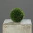 GRASKUGEL - Grün, Basics, Kunststoff (14cm) GRASKUGEL - Grün, Basics, Kunststoff (14cm)