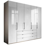 KLEIDERSCHRANK  in Grau, Weiß  - Schieferfarben/Weiß, KONVENTIONELL, Glas/Holzwerkstoff (250/216/58cm) - Novel