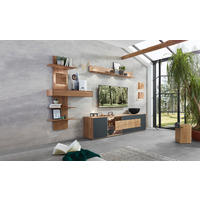 WOHNWAND 310/204/49 cm  in Anthrazit, Eichefarben, Transparent  310/204/49 cm    - Eichefarben/Transparent, Natur, Glas/Holz (310/204/49cm) - Valnatura