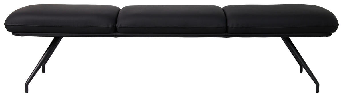 SITZBANK 220/49,5/50 cm  in Schwarz  - Schwarz, Design, Leder/Metall (220/49,5/50cm) - Dieter Knoll