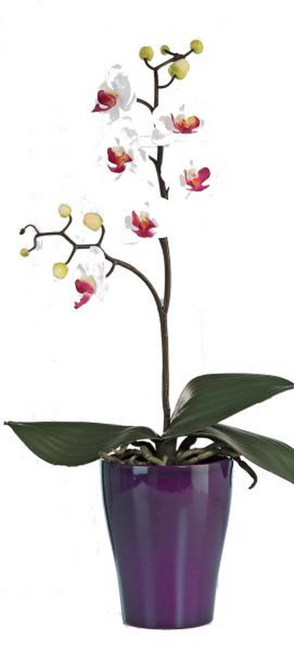 ORCHIDEE - Weiß/Grün, Basics, Kunststoff (40cm)