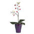 ROSTLINA UMĚLÁ, orchidej - bílá/zelená, Basics, umělá hmota (09/09/40cm) ROSTLINA UMĚLÁ, orchidej - bílá/zelená, Basics, umělá hmota (09/09/40cm)